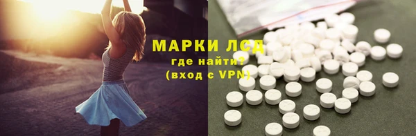 соль ск Новозыбков