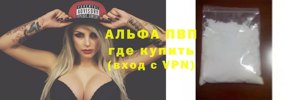 соль ск Новозыбков