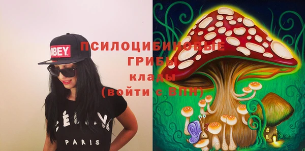 эйфоретик Новокубанск