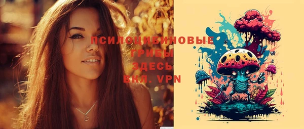 соль ск Новозыбков