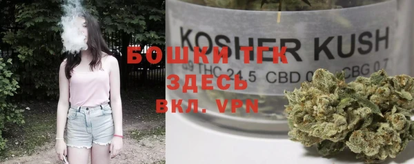 гашик Нея