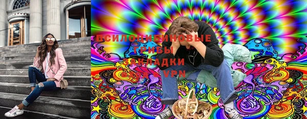 гашик Нея