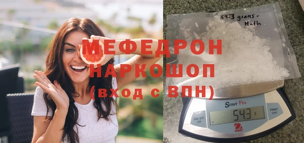 соль ск Новозыбков
