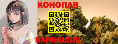 соль ск Бийск