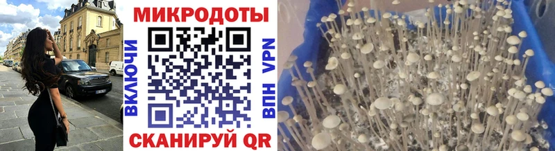 Псилоцибиновые грибы GOLDEN TEACHER  Лосино-Петровский 
