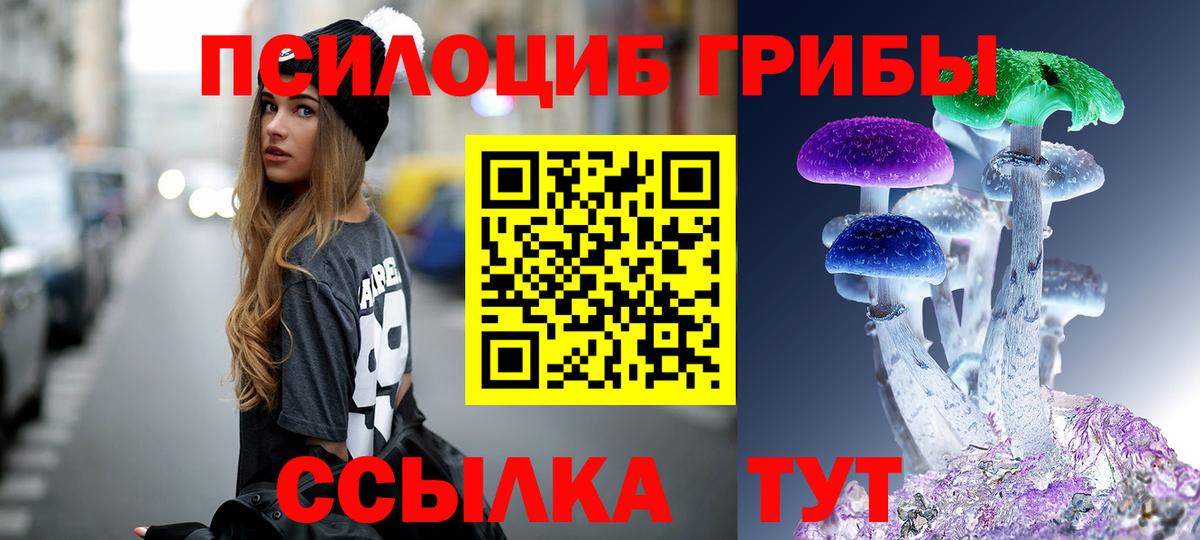 Галлюциногенные грибы Cubensis Лосино-Петровский