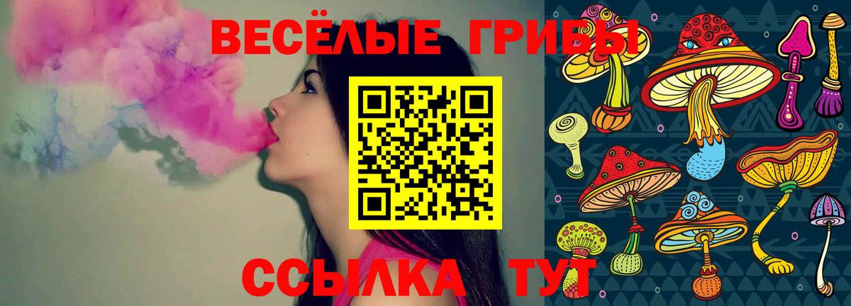 А ПВП Лосино-Петровский